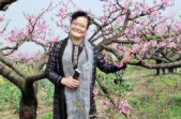 宗亲风采