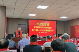 宗亲风采